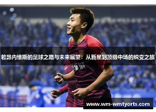 若昂内维斯的足球之路与未来展望：从新星到顶级中场的蜕变之旅