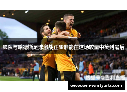 狼队与哈德斯足球激战正酣谁能在这场较量中笑到最后
